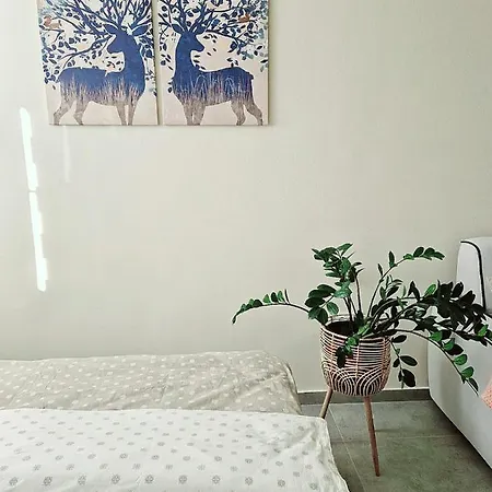 Oaza 2 Lejlighed Senta